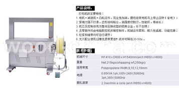 全自動打包機(jī)與封箱機(jī)打包機(jī)的協(xié)同應(yīng)用 提升包裝效率的智慧之選